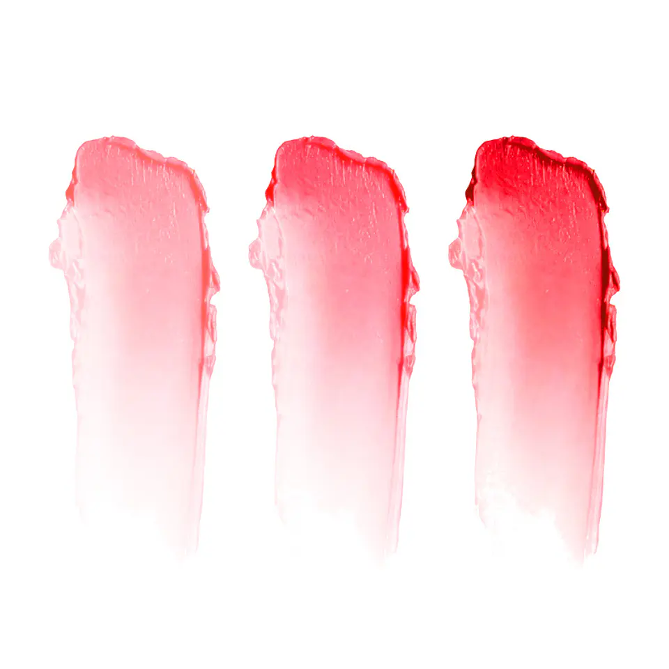 Set de Bálsamos Labiales 4
