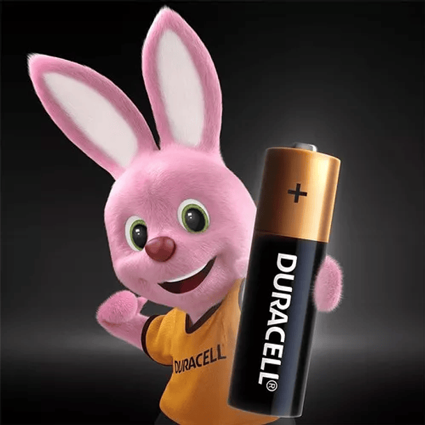 PILAS ALCALINAS DURACELL AA PACK 6 UNID  2