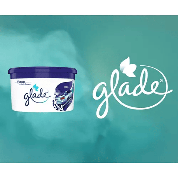 AROMATIZANTE GEL PARA AUTO ACQUA 70 GR 2