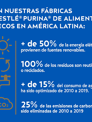 Cat chow gatito 19,5 kg