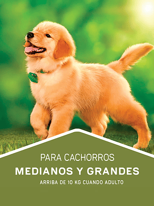Dog chow cachorro mediano grande 19,5kg