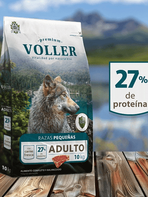 Voller adulto raza pequeña 