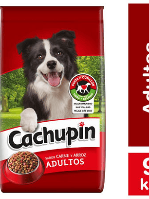 Cachupin carne y arroz 9 kg