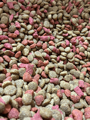 Master cat salmón granel 1 kg.