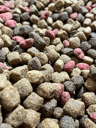 Master dog adulto a granel 1 kg.