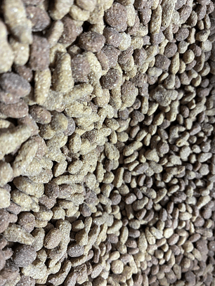 Champion dog cachorro granel 1 kg.