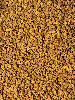 Cat chow gatitos granel 1 kg.