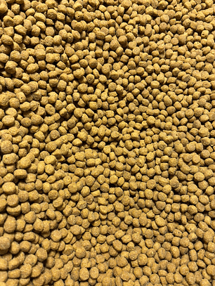 Champion cat gatitos a granel 1 kg.