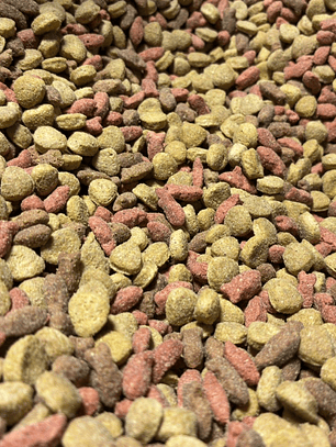 Champion cat pollo a granel 1 kg 