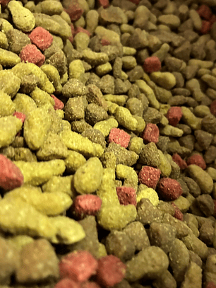 Champion dog adulto raza pequeña a granel 1 kg.