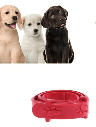 Collar antipulgas perro animal life