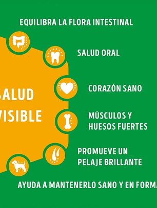 Dog chow adultos minis y peques  8kg