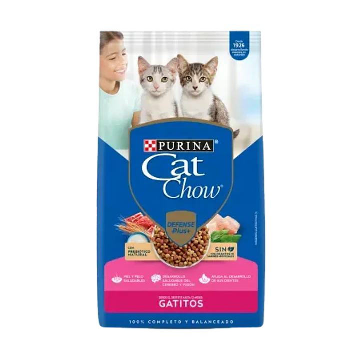 Cat chow gatitos 8 kg 1