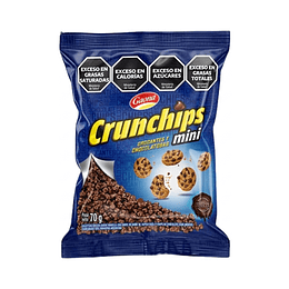 *MINI X 70 GRAMOS* GALL. "CRUNCHIPS" GAONA CLASICAS