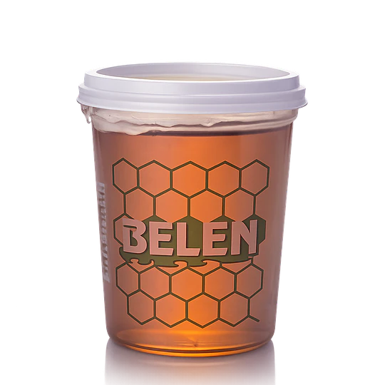 *POTE X 500G* MIEL ABEJA 