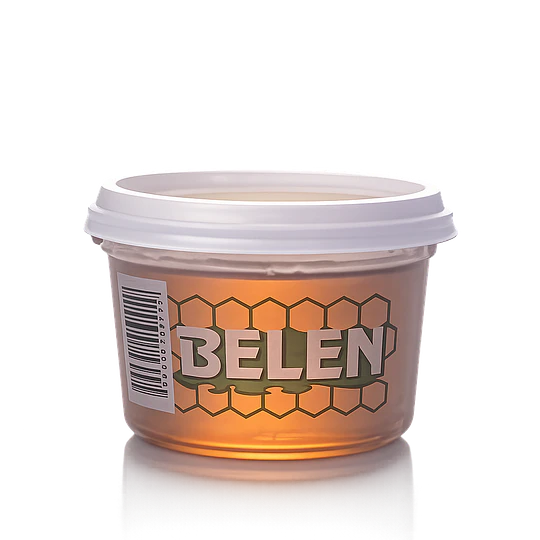 *POTE X 250G* MIEL ABEJA 
