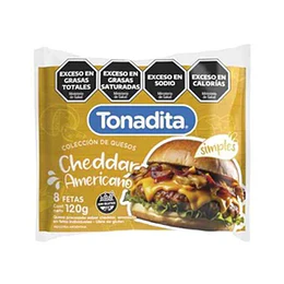 QUESO CHEDDAR EN FETAS "TONADITA" X 8 UNID