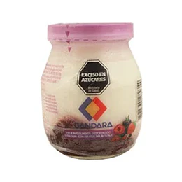 *COLCHON DE FRUTAS* YOGUR "GANDARA FRASCO FRUTOS DEL BOSQUE X 200 GRS