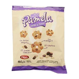GALL."MINI PAMELA" AVENA Y PASAS X 180 GRS