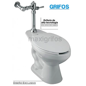 Fluxometro Para Sanitario En Bronce 5 Años De Garantía