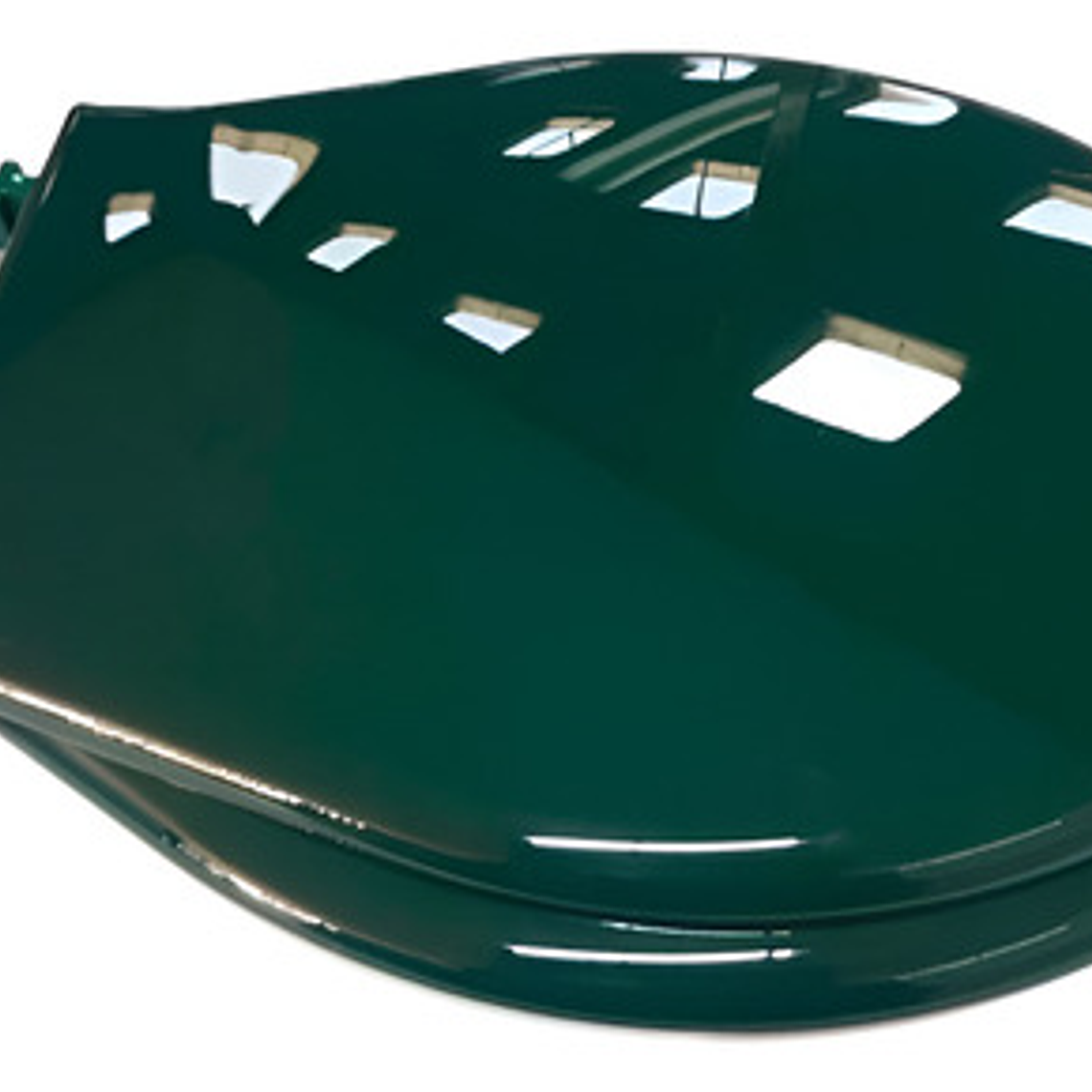 Tapa Asiento Sanitario Verde Oscuro Redondo 1