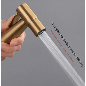 Ducha Bide Sanitario Dorado Mate Acero Inoxidable