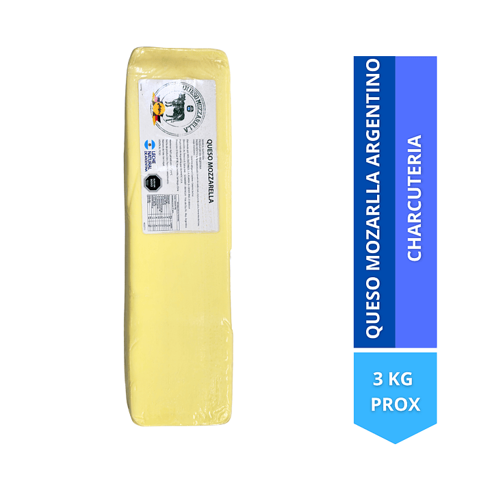 Barra de queso mozzarella  1