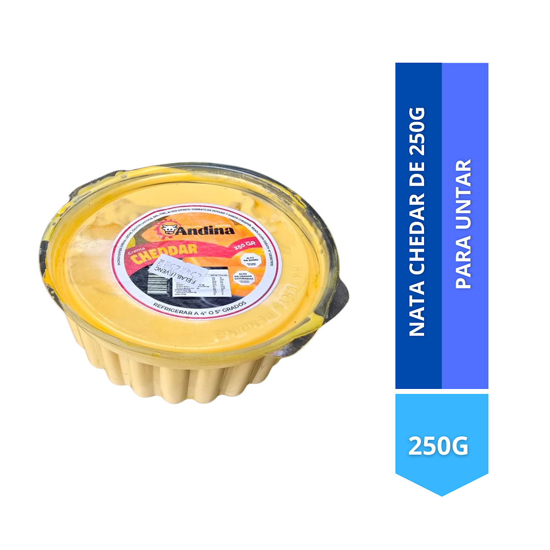 Nata cheddar de 250ML  1