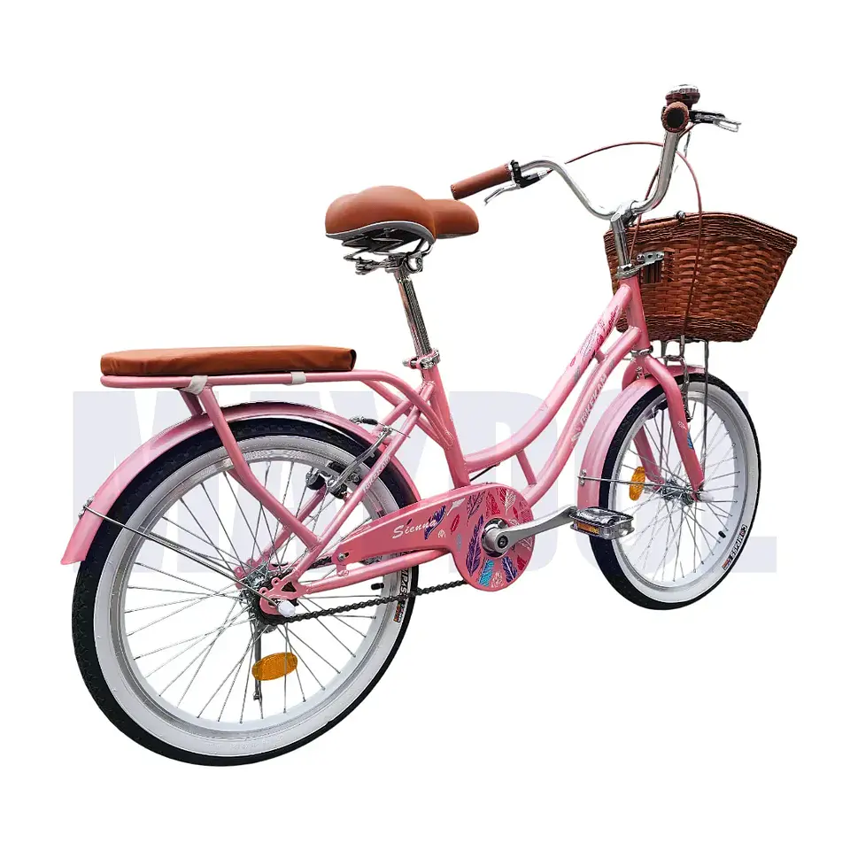 Bicicleta Vintage Aro 20 para Niñas con Canasta y Parrilla Rosada 3