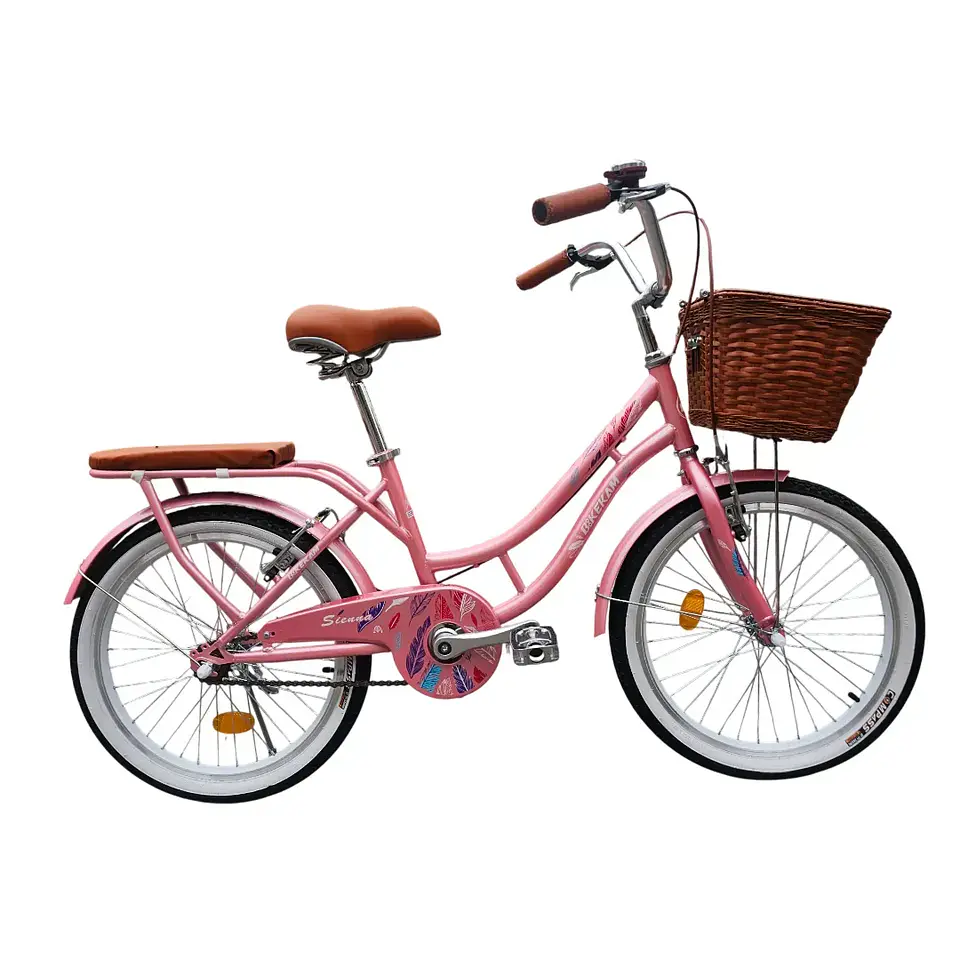Bicicleta Vintage Aro 20 para Niñas con Canasta y Parrilla Rosada 1