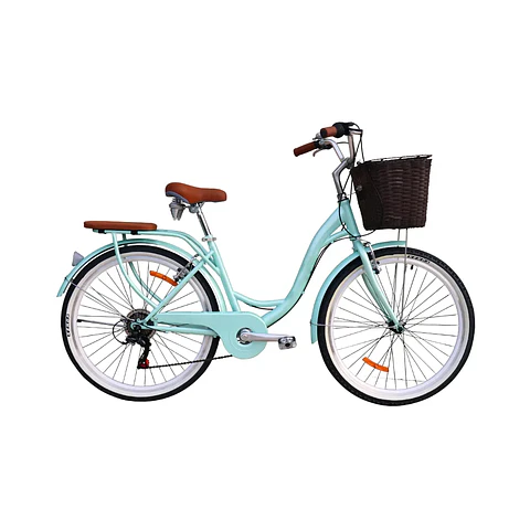 Bicicleta Vintage Aro 24 con Cambios Shimano, Canasta y Parrilla Verde