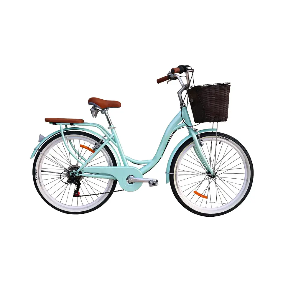 Bicicleta Vintage Aro 24 con Cambios Shimano, Canasta y Parrilla Verde 1