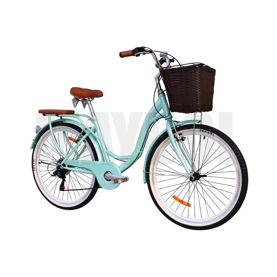 Bicicleta Vintage Aro 24 con Cambios Shimano, Canasta y Parrilla Verde 2