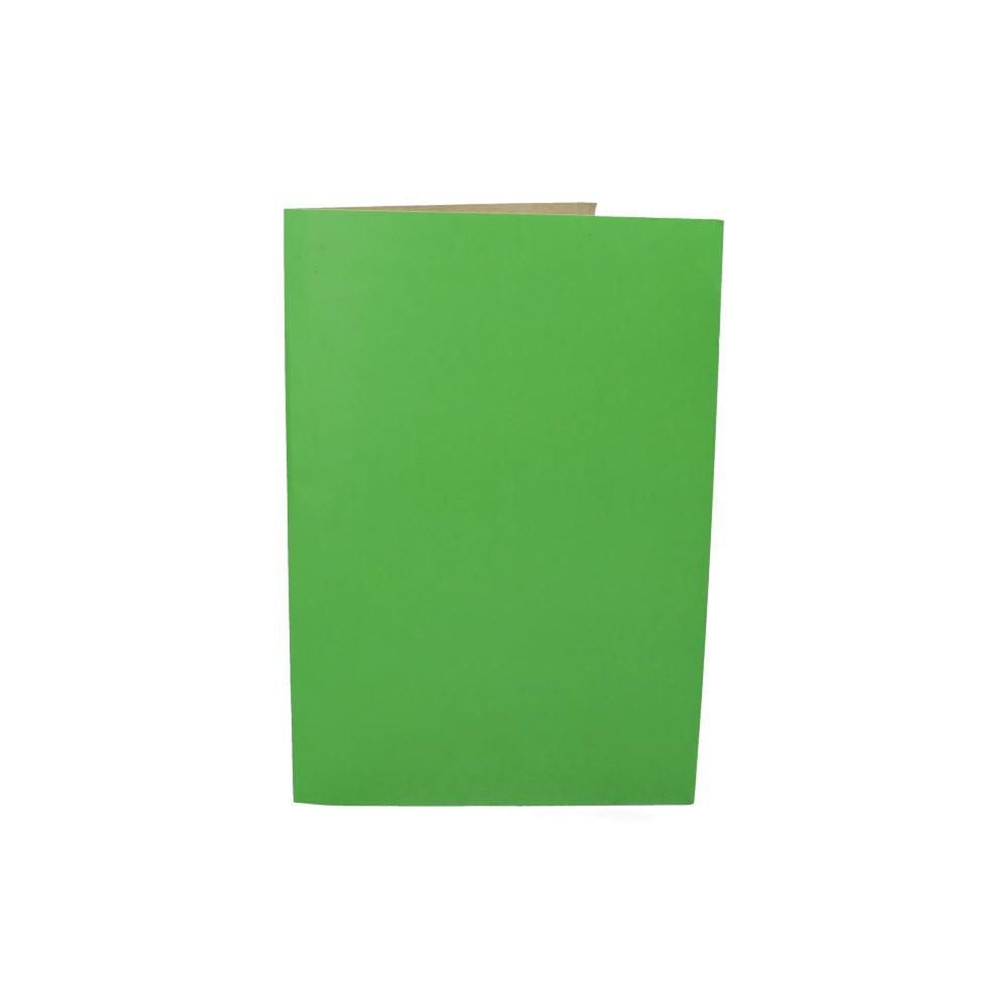Carpeta Cartulina Pigmentada Verde Claro Opaco Dimerc 1