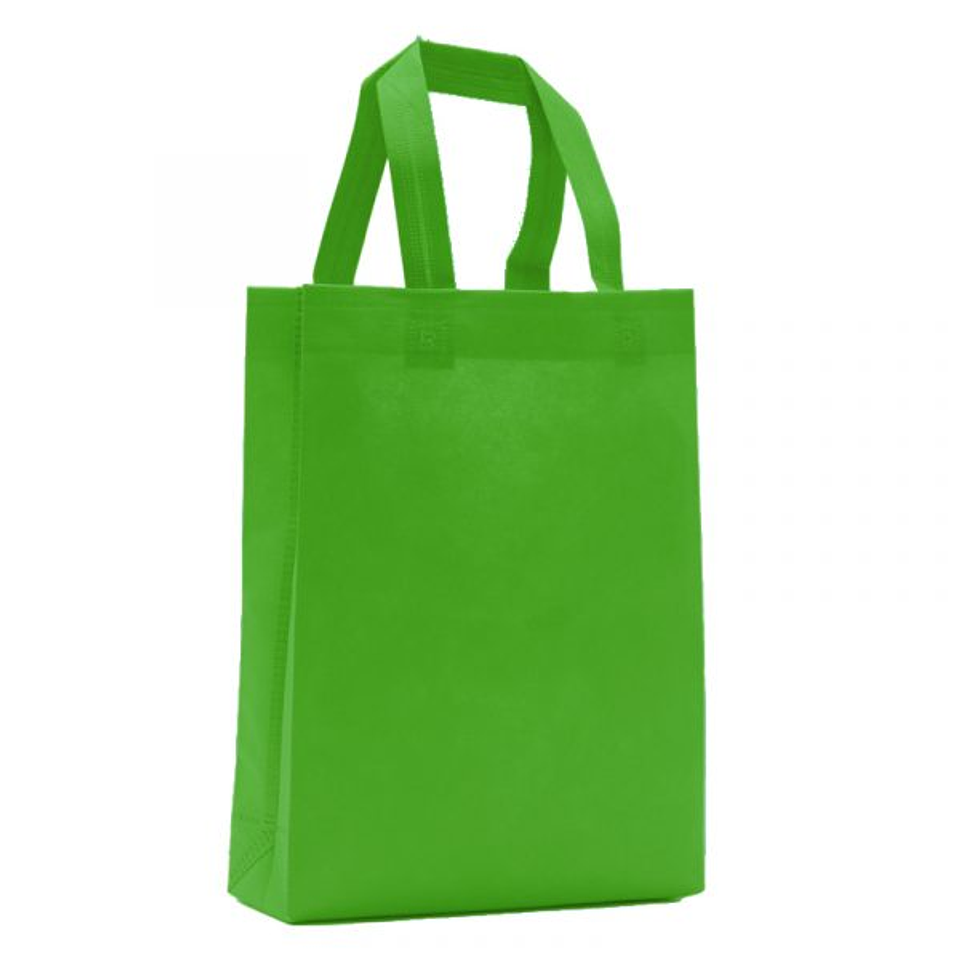 Bolsa Ecologica TNT 25x30x8 Color Pistacho 1