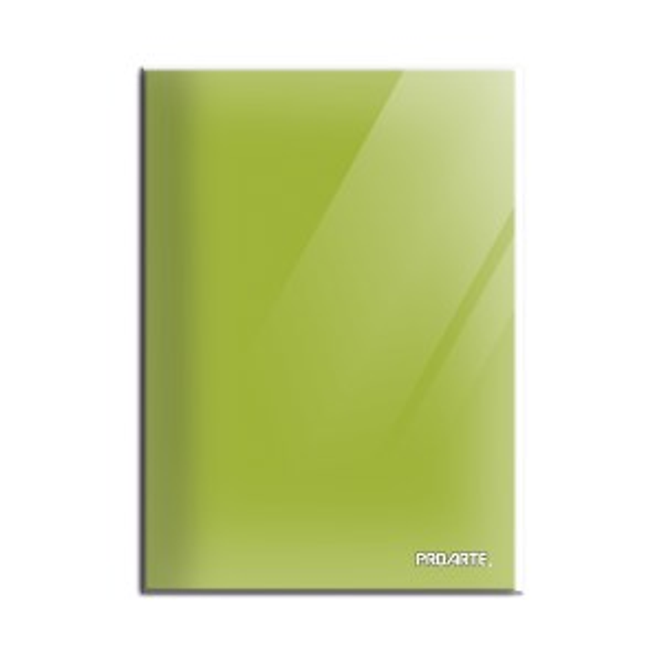 Carpeta Con Gusano Verde Claro Proarte 1