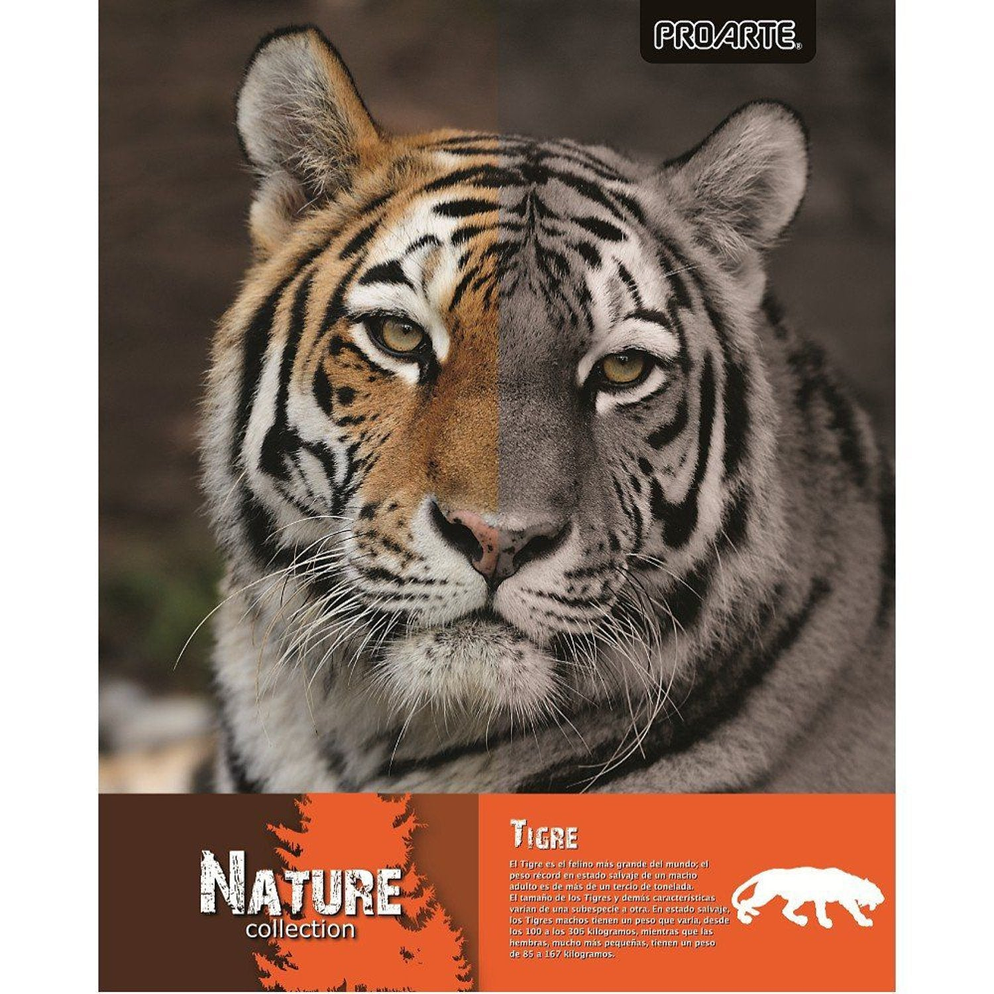 Cuaderno    Univ Proarte Ted/ Ed Nature 100 Hj 7Mm 1