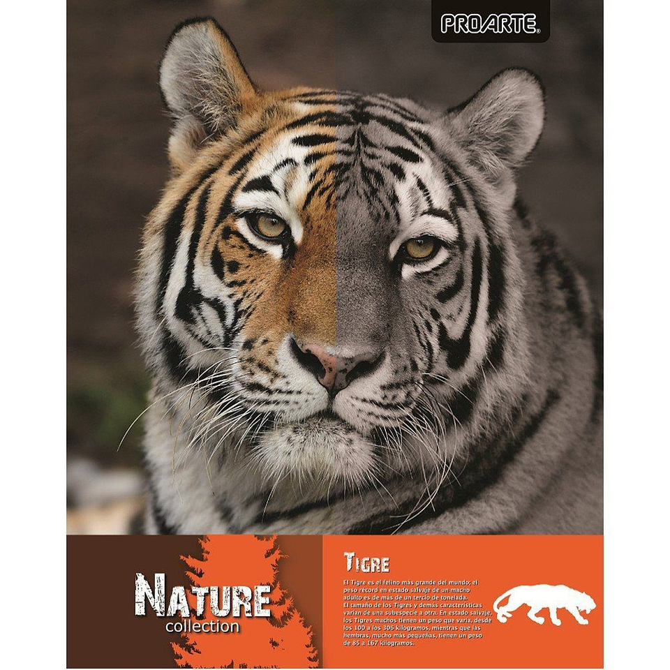 Cuaderno    Univ Proarte Ted/ Ed Nature 100 Hj 7Mm 1