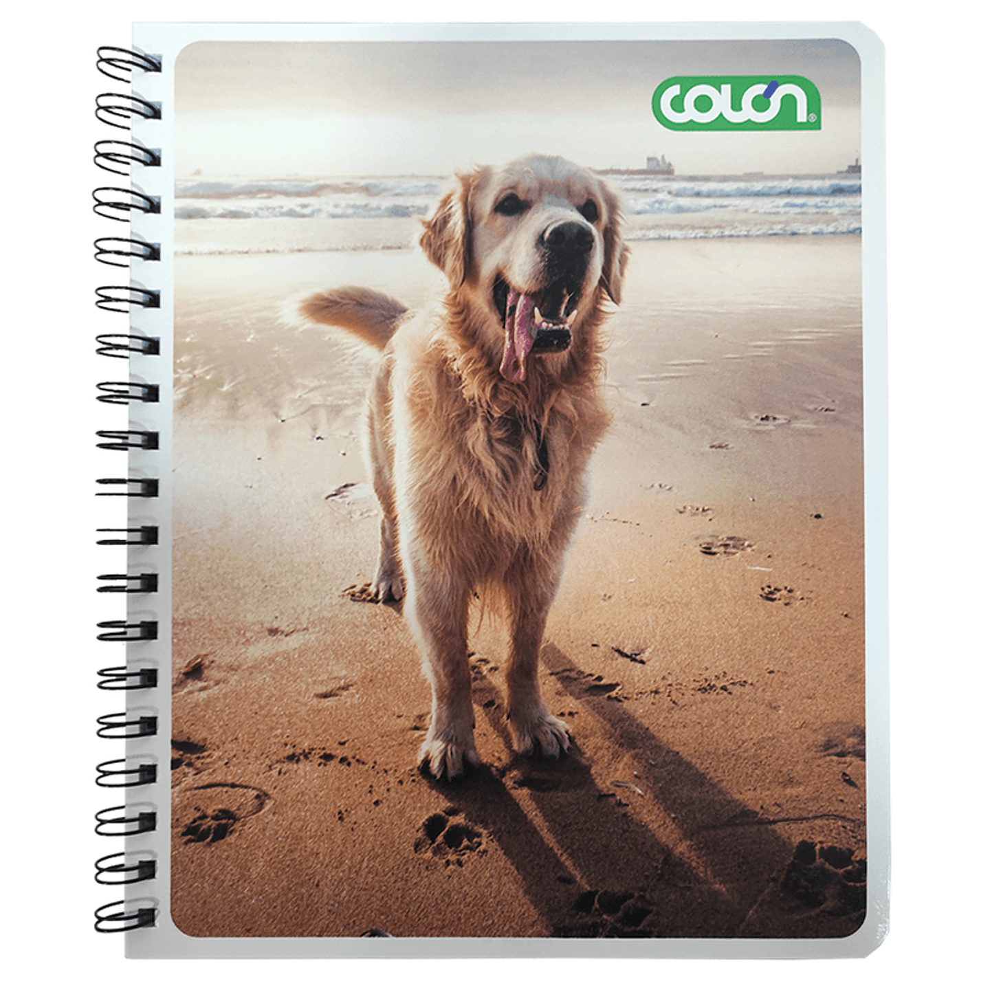 Cuaderno Universitario Basic Cuadro Grande 7mm 100hjs Colon 5