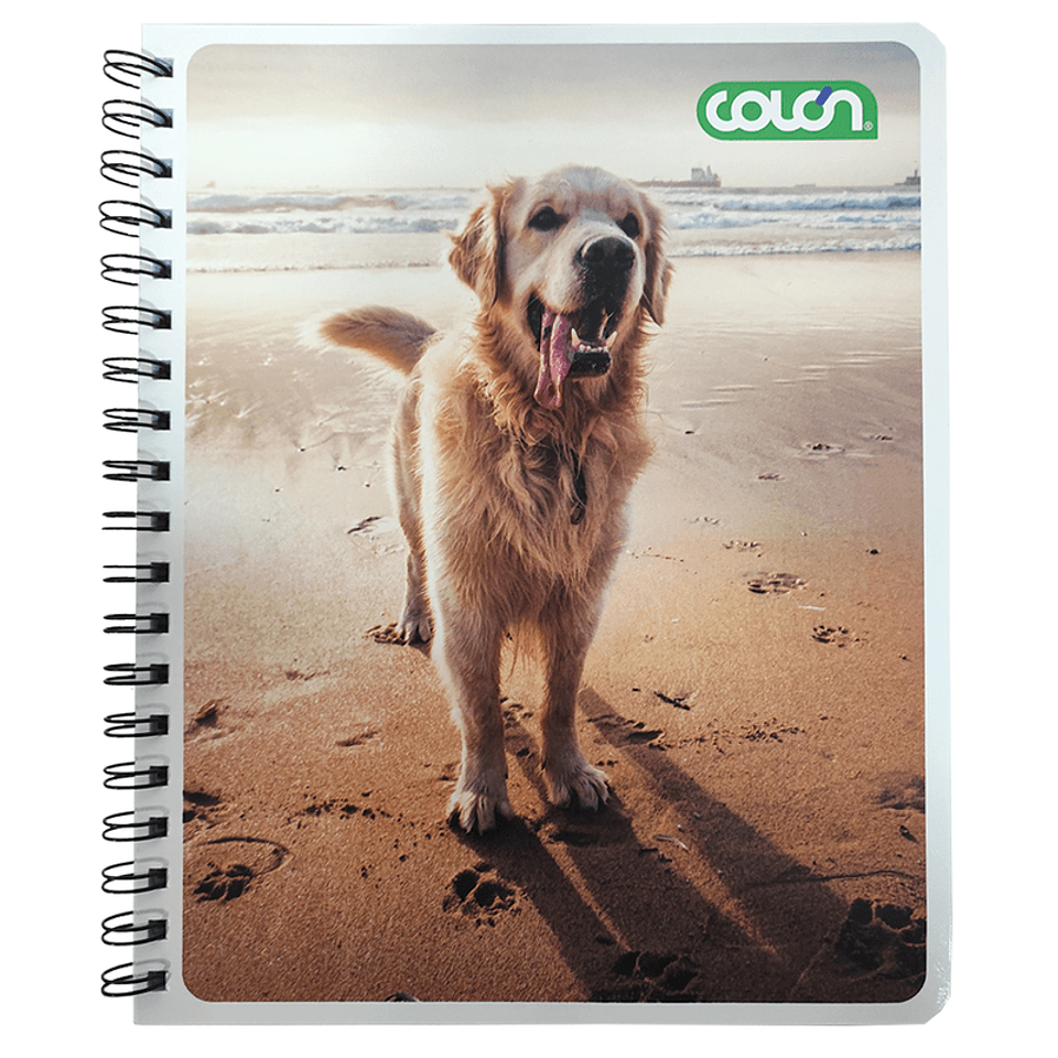 Cuaderno Universitario Basic Cuadro Grande 7mm 100hjs Colon 5