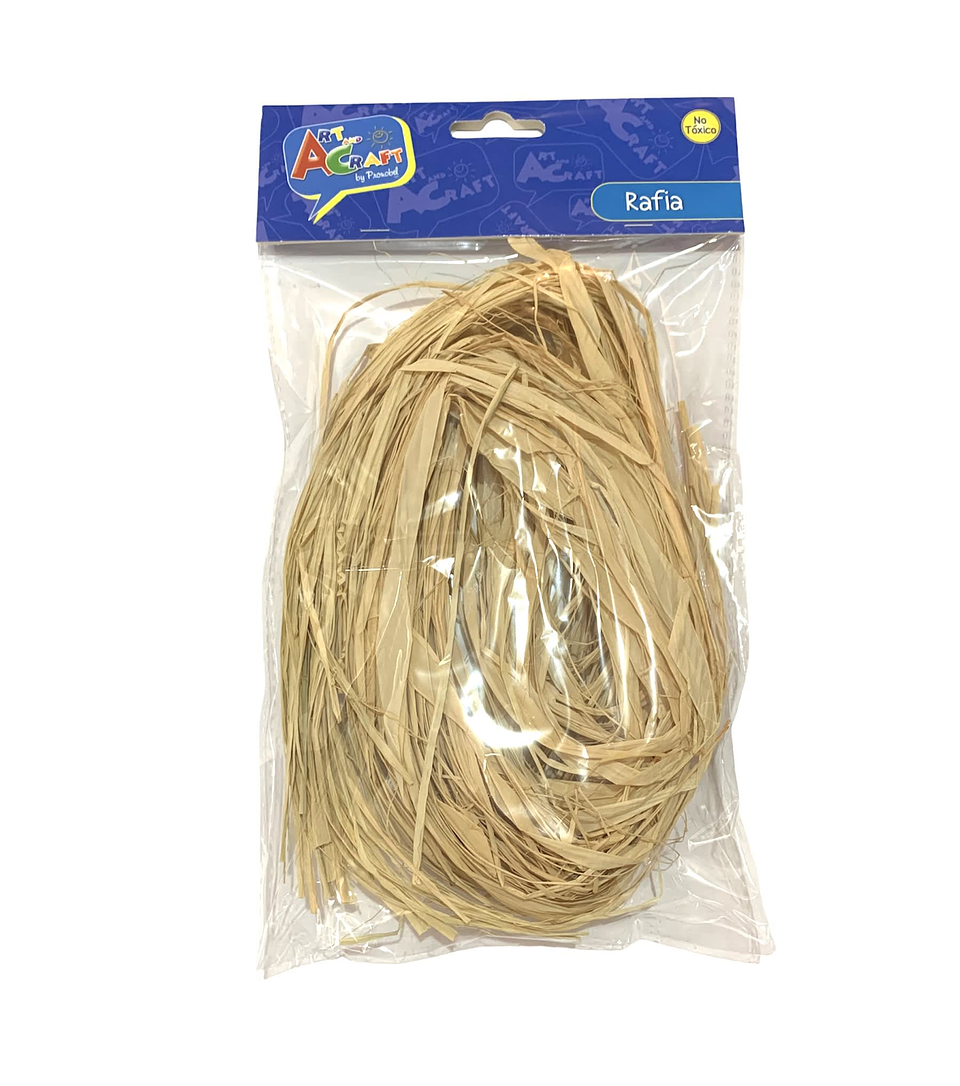 RAFIA BOLSA CON HEADER 1