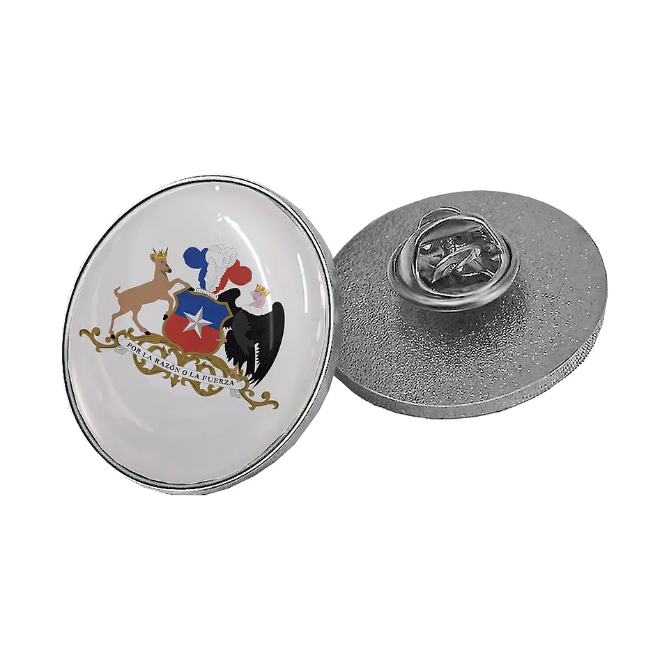 Pin Piocha Broche Redondo Dorado/Plateado 25mm con Domo Incluído 3