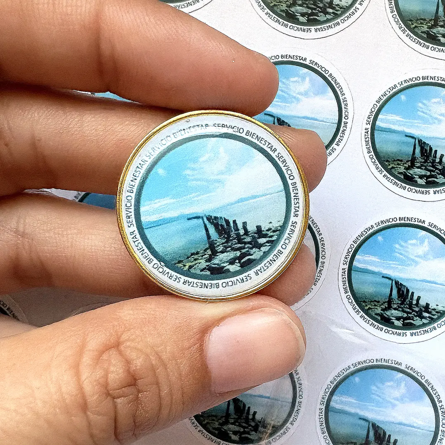 Pin Piocha Broche Redondo Dorado/Plateado 25mm con Domo Incluído 8