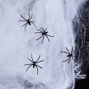 TELARAÑA BLANCA