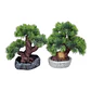 ARBOL 20 CM  - Miniatura 2