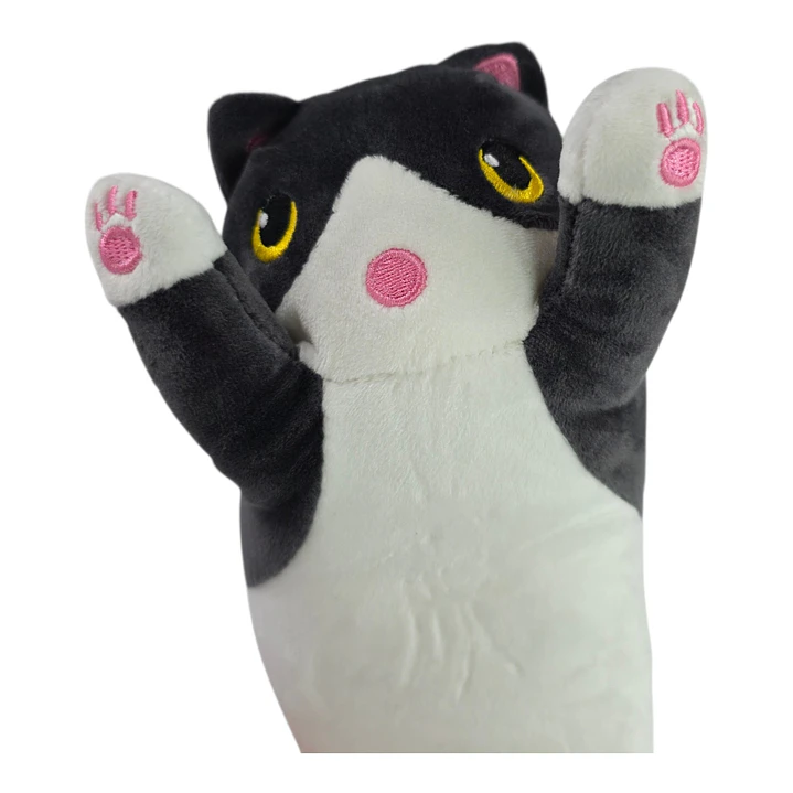 PELUCHE TERMICO 50CM 2