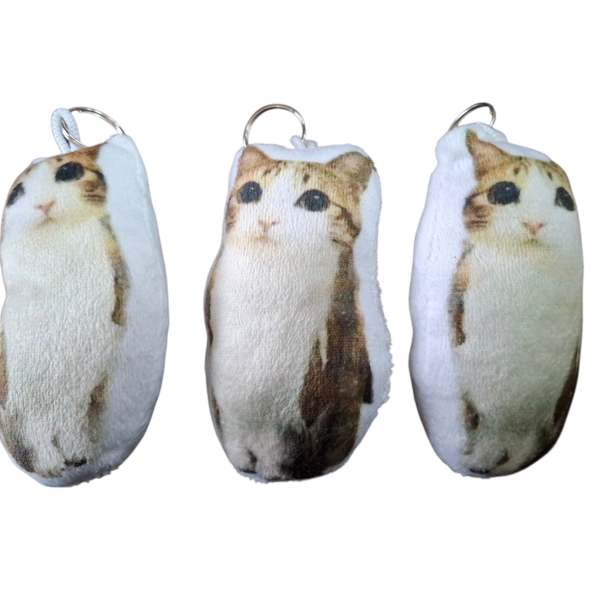 COLGANTE GATO