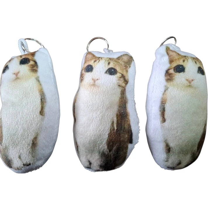 COLGANTE GATO 1