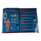 MODELO HUMANO - Miniatura 4