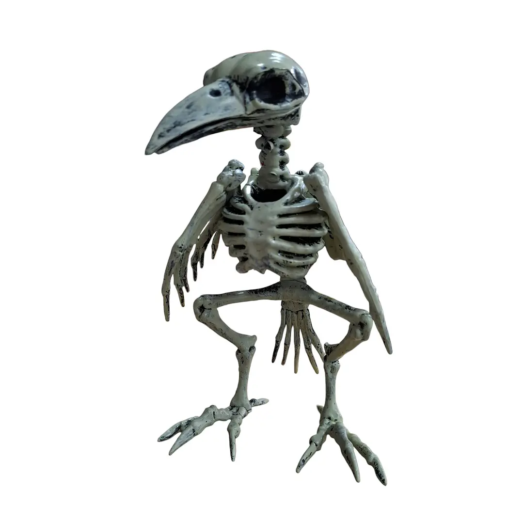CUERVO ESQUELETO 2